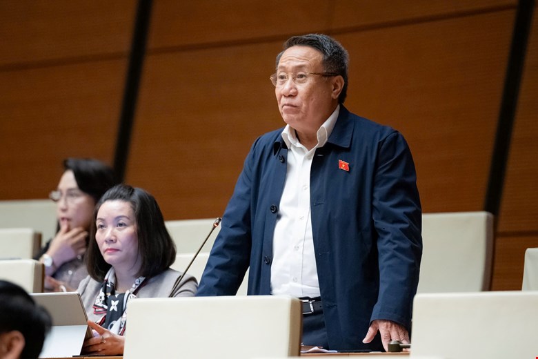 Đại biểu Quốc hội nói về bất cập trong tách thửa và chuyển đất nông nghiệp sang đất ở  - Ảnh 1.