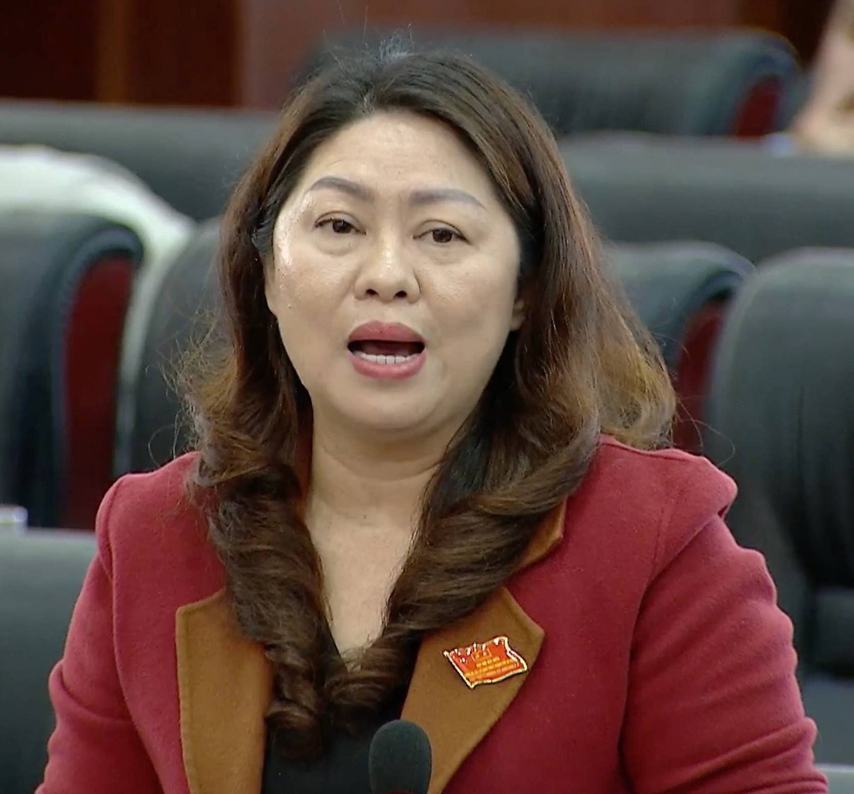 Đại biểu yêu cầu làm rõ "số phận" khu điều trị hơn 178 tỉ ở Đà Nẵng 1 Đại biểu yêu cầu làm rõ