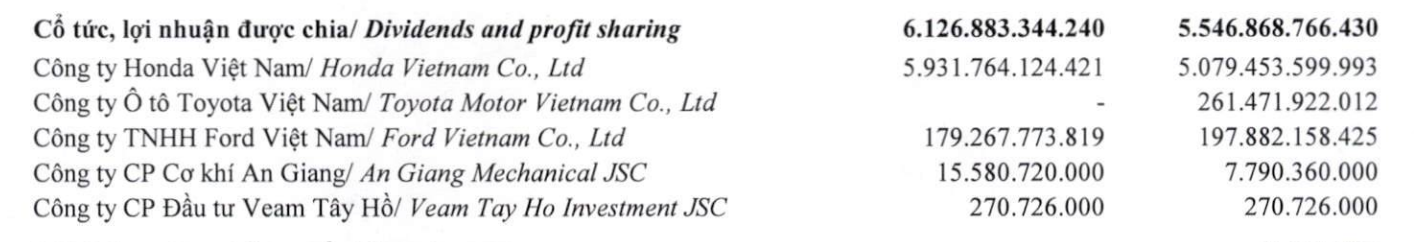 Đại gia sàn chứng khoán có 20.000 tỉ đồng tiền mặt đối diện thách thức từ lộ trình cấm xe xăng 2 vinfast - Ảnh 2.