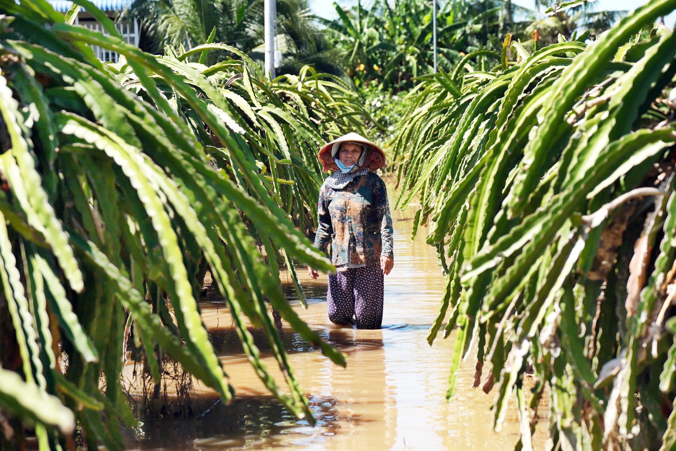 Dân thiệt hại nặng vì hồ xả lũ, công ty không có tiền đền 1 xả lũ - Ảnh 1.
