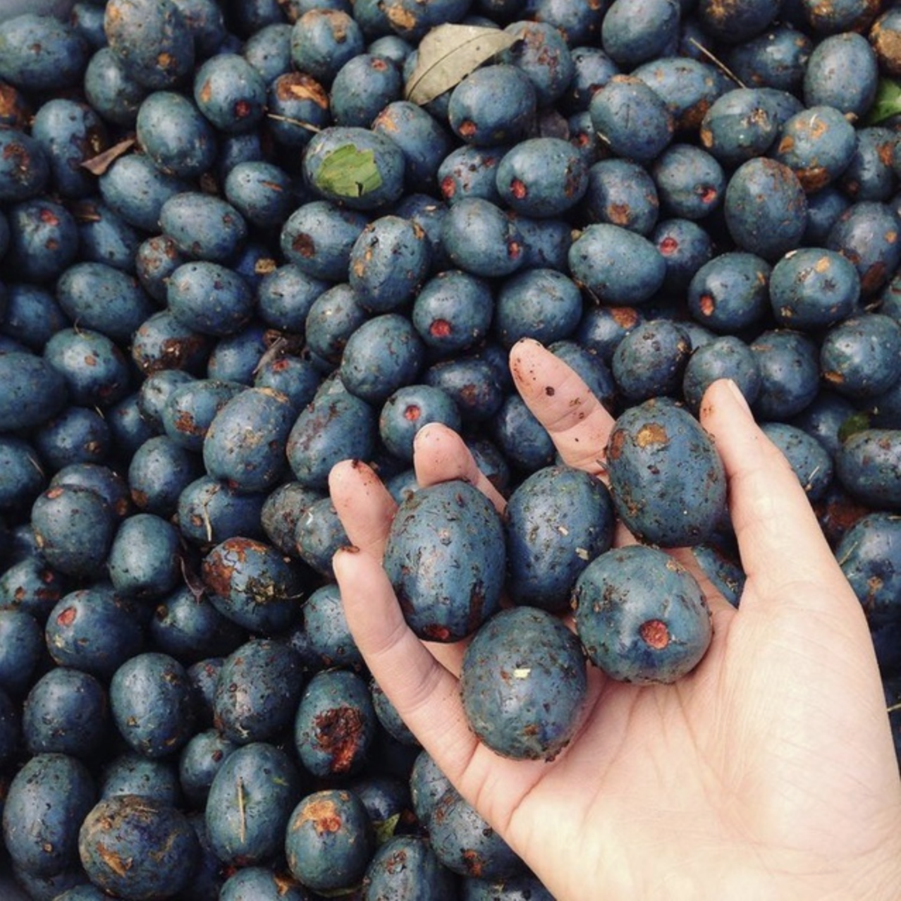 Trend kì cục: Tranh nhau mua nhưng ăn xong ai cũng 