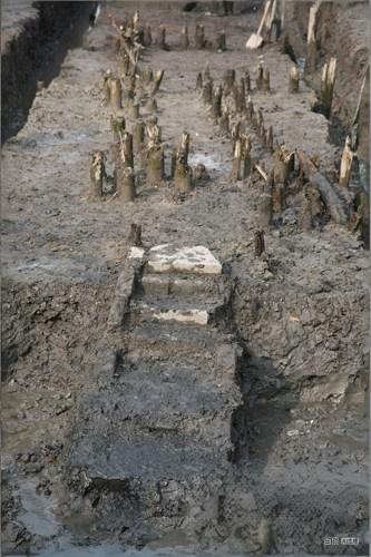 Đào móng công trình, đội công nhân phát hiện trận cọc gỗ 