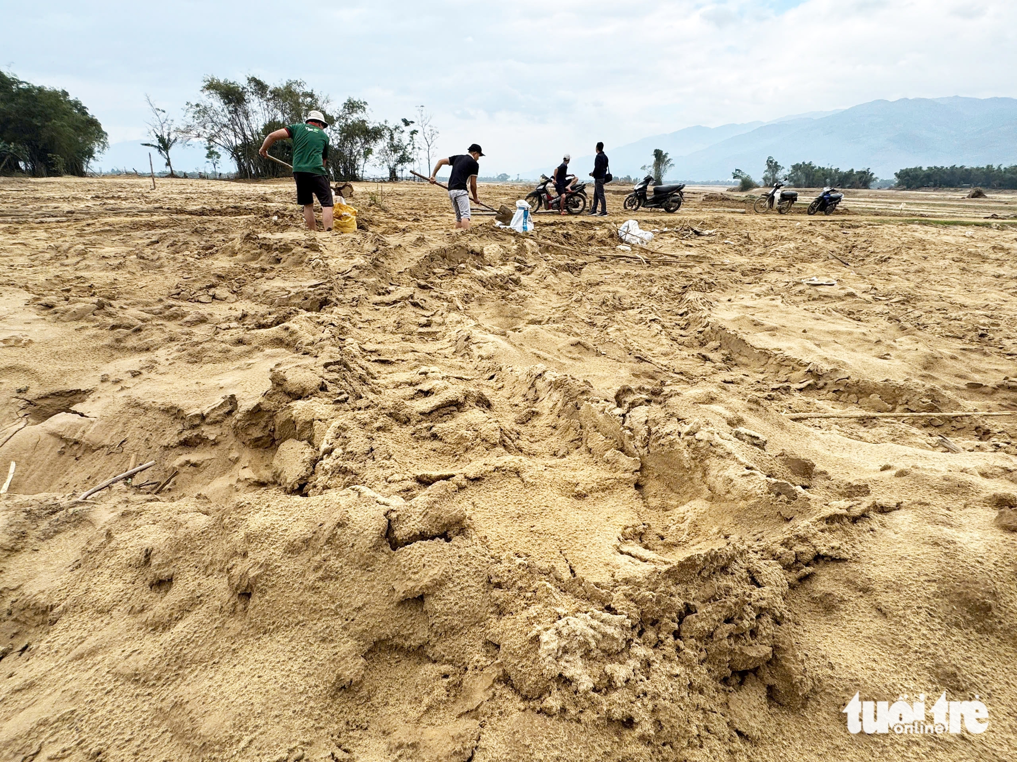Đất trồng hoa màu ven sông Vu Gia bị bồi lấp sau lũ 1m-1,5m, nông dân rốn lũ Đại Lộc 'khóc nghẹn' 1 bồi lấp - Ảnh 1.