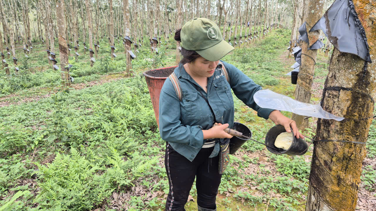 Dấu ấn công trình trọng điểm trong chiến lược phát triển bền vững của VRG 2 Dấu ấn công trình trọng điểm trong chiến lược phát triển bền vững của VRG - Ảnh 2.