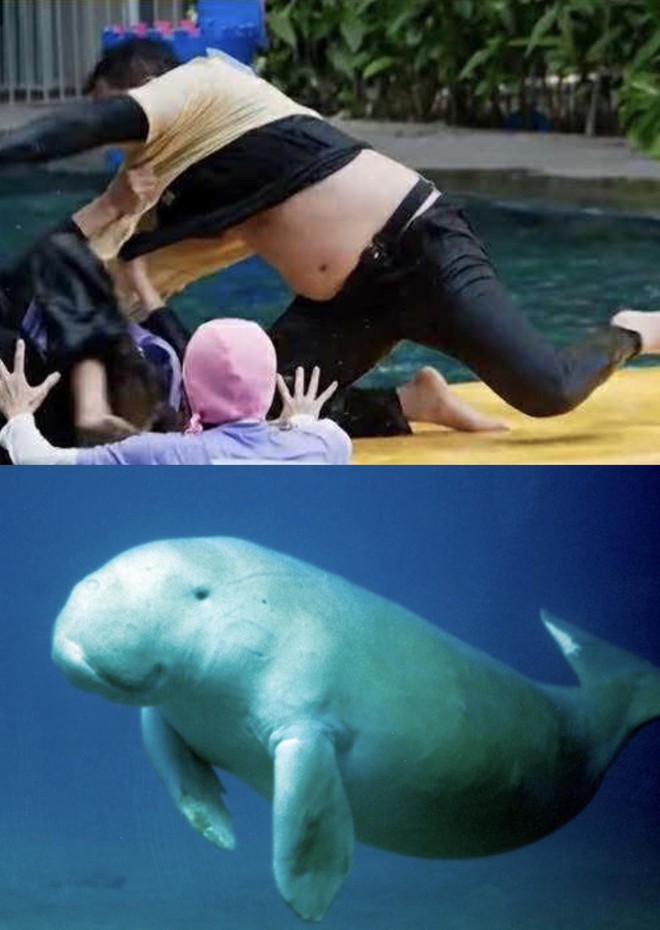 Đây chính là nhân vật có màn tái xuất show thực tế Đây chính là nhân vật có màn tái xuất show thực tế