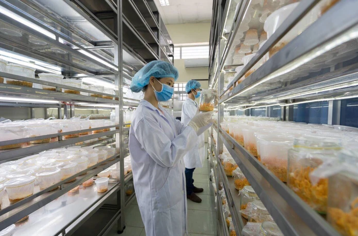 Vốn , công nghệ và con người trong sản xuất nông nghiệp hữu cơ tại Việt Nam - Ảnh 2.