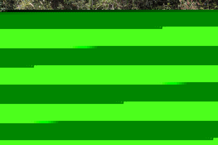 Đề xuất xây dựng công trình tưởng niệm đoàn thiện nguyện tử nạn ở Lào Cai- Ảnh 1.