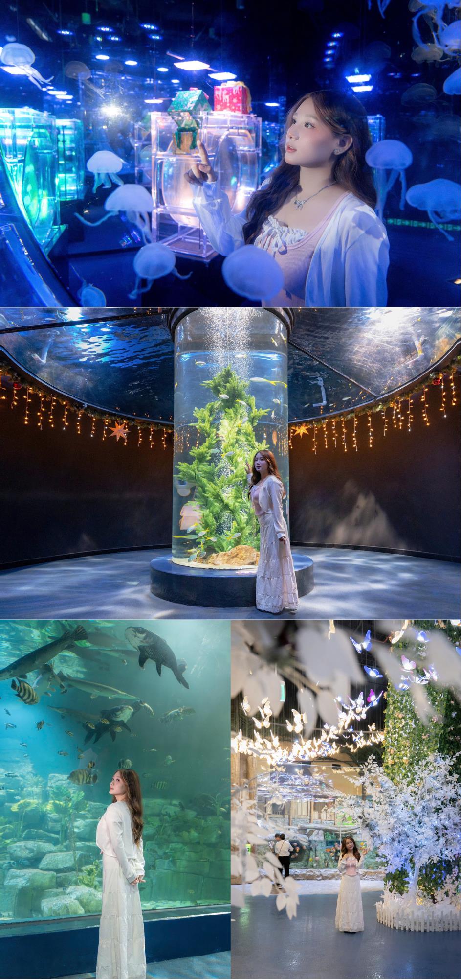 Điểm qua những khu vực check–in “hot hit” nhất tại Thủy cung Lotte World Hà Nội mùa Giáng sinh 2025- Ảnh 1. Điểm qua những khu vực check–in “hot hit” nhất tại Thủy cung Lotte World Hà Nội mùa Giáng sinh 2025- Ảnh 1.
