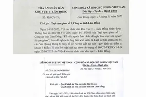 Luật sư gặp bị cáo ở trại tạm giam: Tòa án có quyền cấp phép hay chỉ giám sát?
