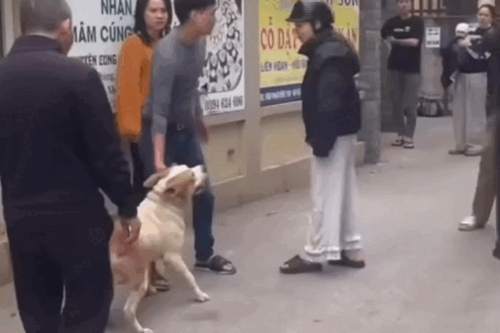 Điều chó dữ vào đám đông: Sự nguy hiểm ẩn sau từng nhát cắn - 1