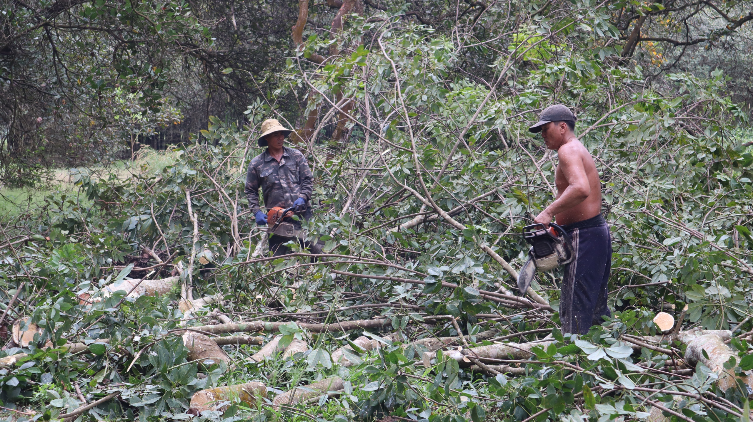 Doanh nghiệp dự án cao tốc Gia Nghĩa - Chơn Thành xin chuyển từ BOT sang BT - Ảnh 1. Doanh nghiệp dự án cao tốc Gia Nghĩa - Chơn Thành xin chuyển từ BOT sang BT - Ảnh 1.