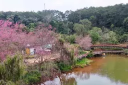 Bất ngờ doanh thu du lịch Quảng Ngãi sau sáp nhập