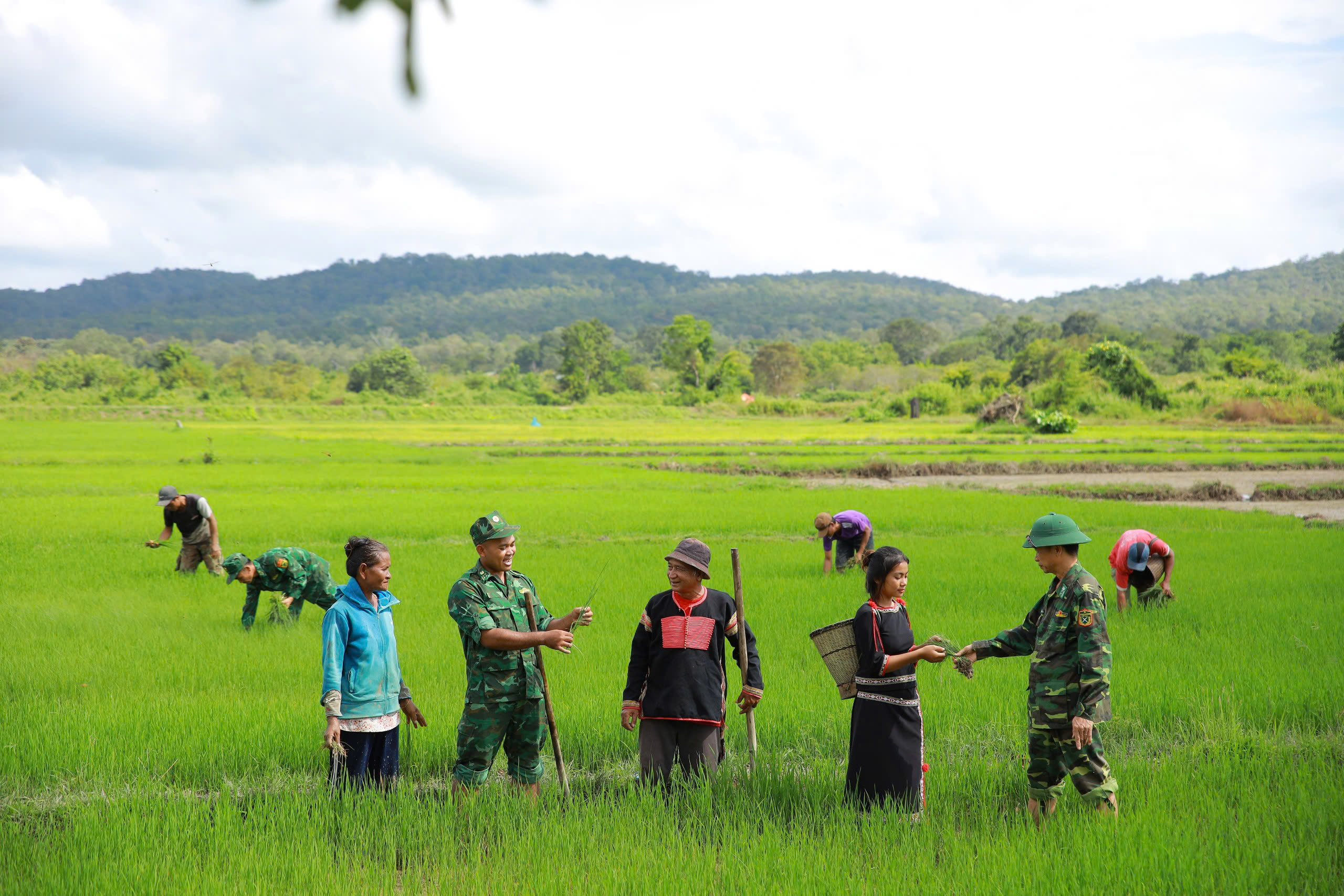 Đổi thay giữa đại ngàn - Ảnh 1.
