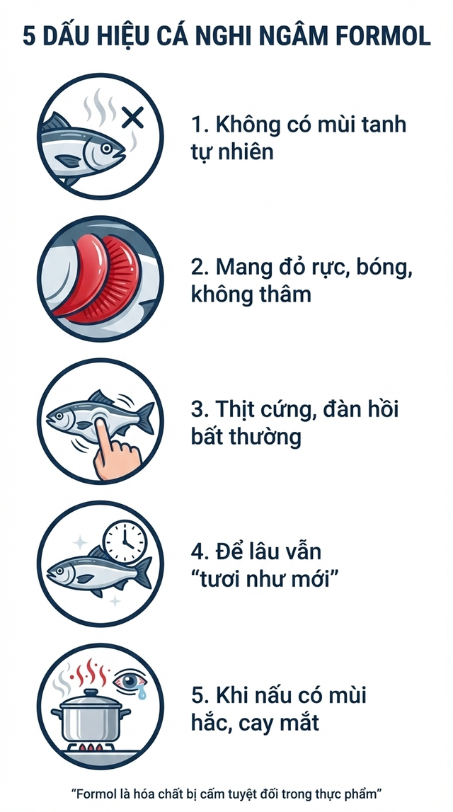 Cách nhận biết cá ngâm hoá chất formol nguy hiểm: Đơn giản nhưng nhiều người bỏ qua từ đầu- Ảnh 7.