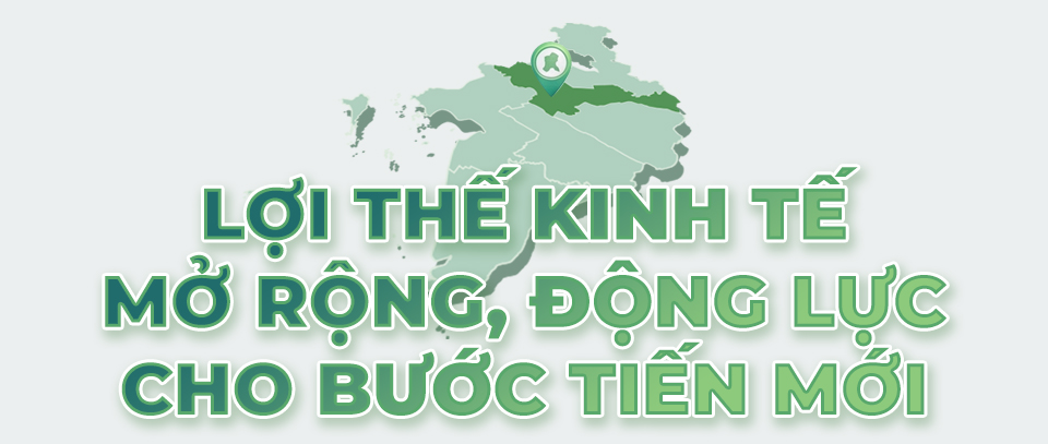 Phát triển kinh tế Đồng Tháp bứt phá với mô hình nông nghiệp sinh thái và công nghiệp hiện đại - Ảnh 1.