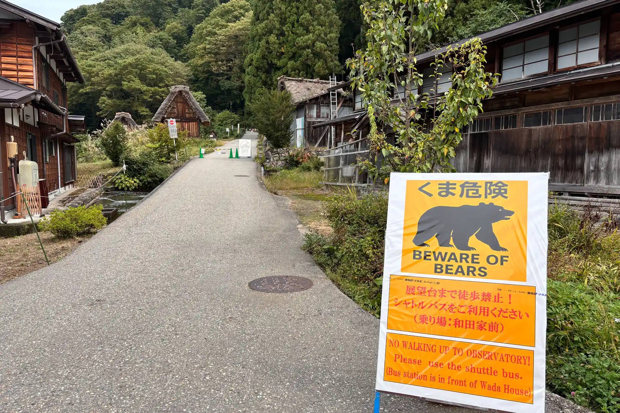 Du khách bị gấu kéo vào rừng, tấn công đến tử vong: Đồng hồ thông minh hé lộ những giây phút cuối đời đầy ám ảnh- Ảnh 1.