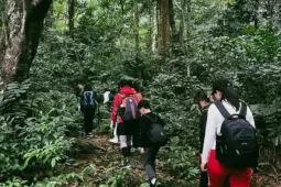 Bí kíp khám phá Vườn Quốc gia Cúc Phương tránh rủi ro cho du khách