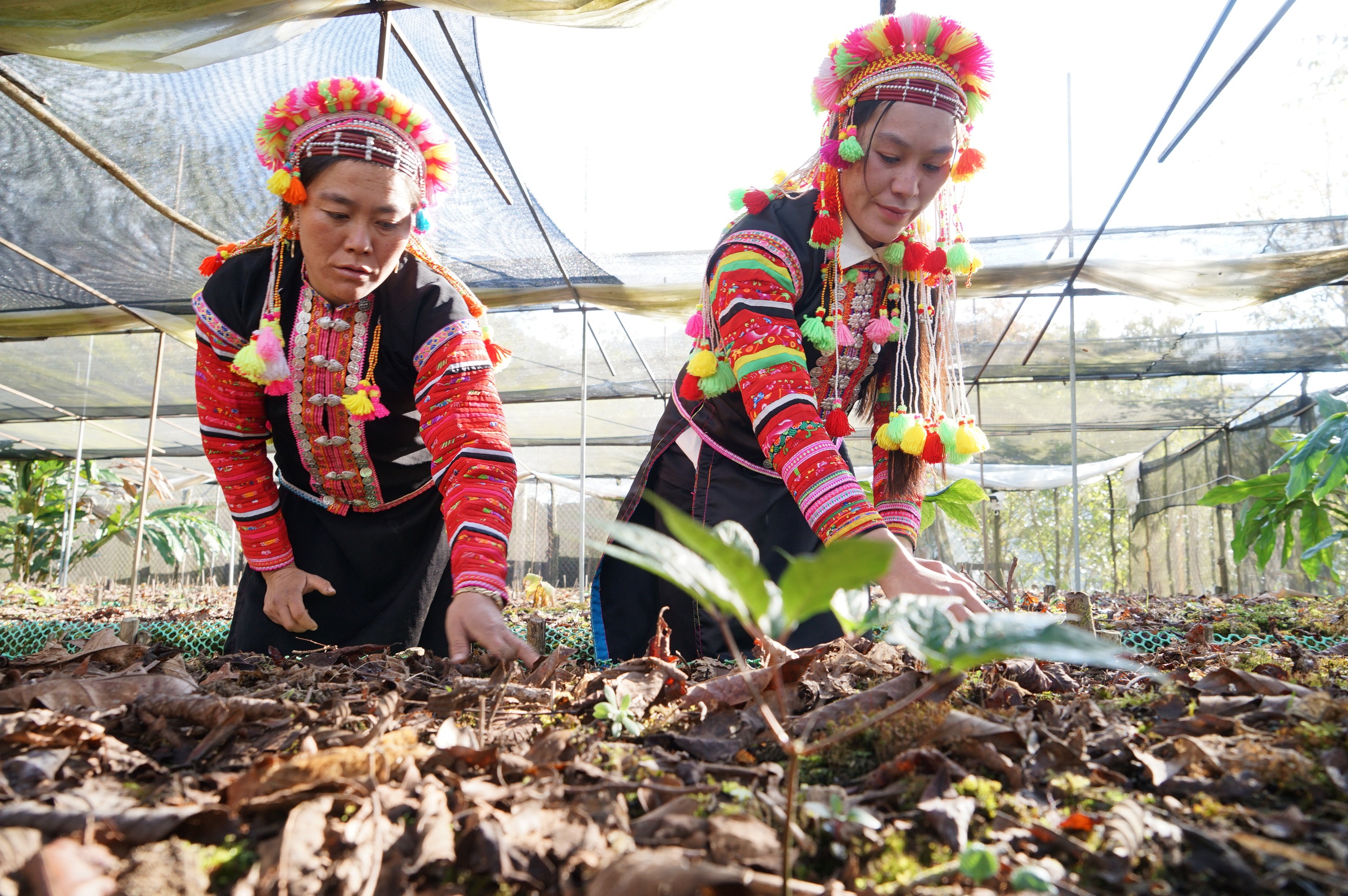 Miền núi - Ảnh 1.