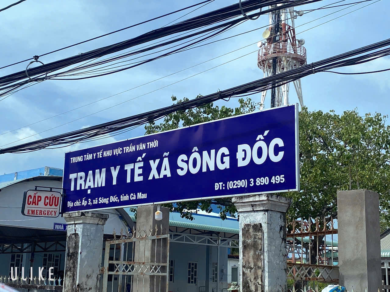 Vụ Trưởng phòng khám ở Cà Mau ký khống giấy chuyển 'trắng": Dừng triển khai quyết định   - Ảnh 1.