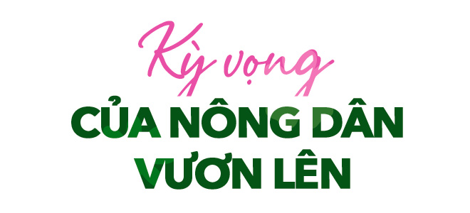 Festival Hoa kiểng Sa Đéc lần thứ 2: Sắc hoa ngày mới - Ảnh 1. Festival Hoa kiểng Sa Đéc lần thứ 2: Sắc hoa ngày mới - Ảnh 1.