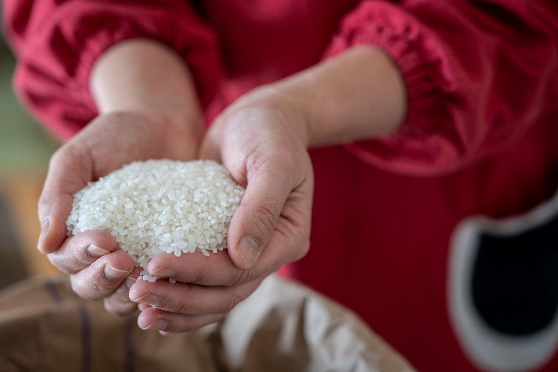 Nhật Bản - Ảnh 1.