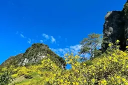 Tới Cao Bằng mùa này, du khách thốt lên: 'Đứng góc nào cũng có ảnh đẹp'
