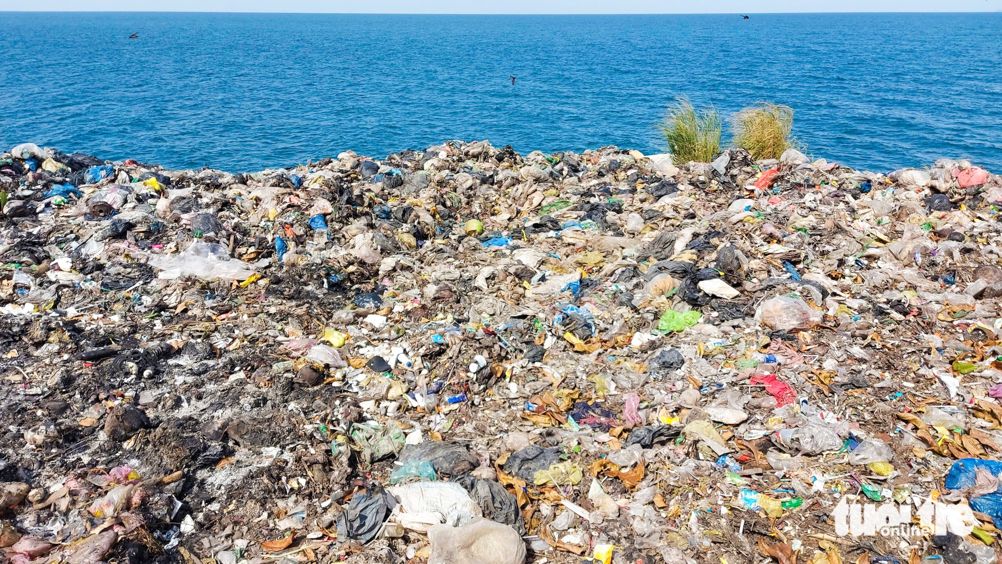 Giải pháp nào để xử lý rác thải ở Hòn Sơn, Nam Du và Phú Quốc? 1 Giải pháp nào để xử lý rác thải ở Hòn Sơn, Nam Du và Phú Quốc? - Ảnh 1.