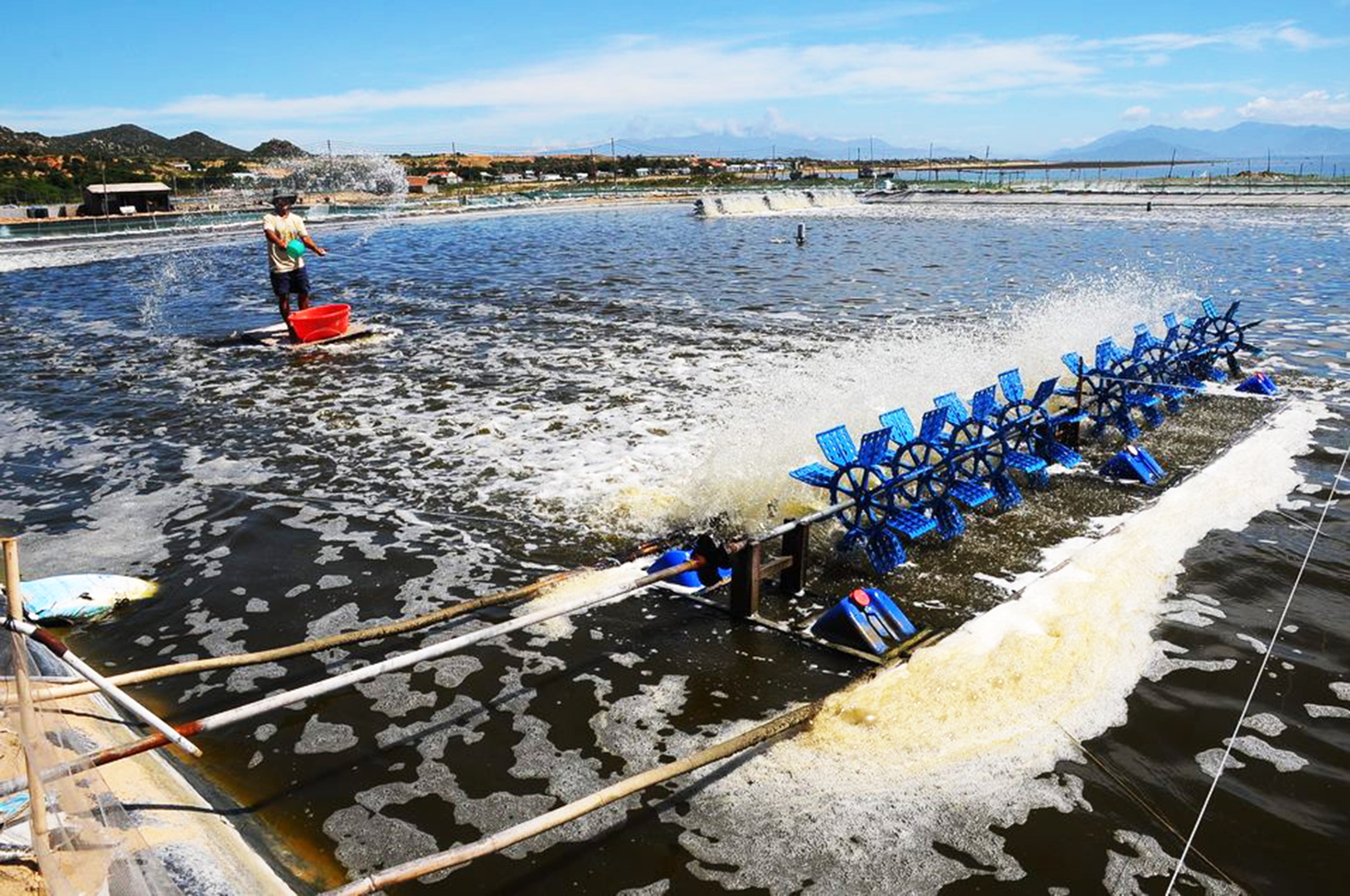 Gỡ bất cập thuế VAT cho nông nghiệp 1 thuế VAT - Ảnh 1.