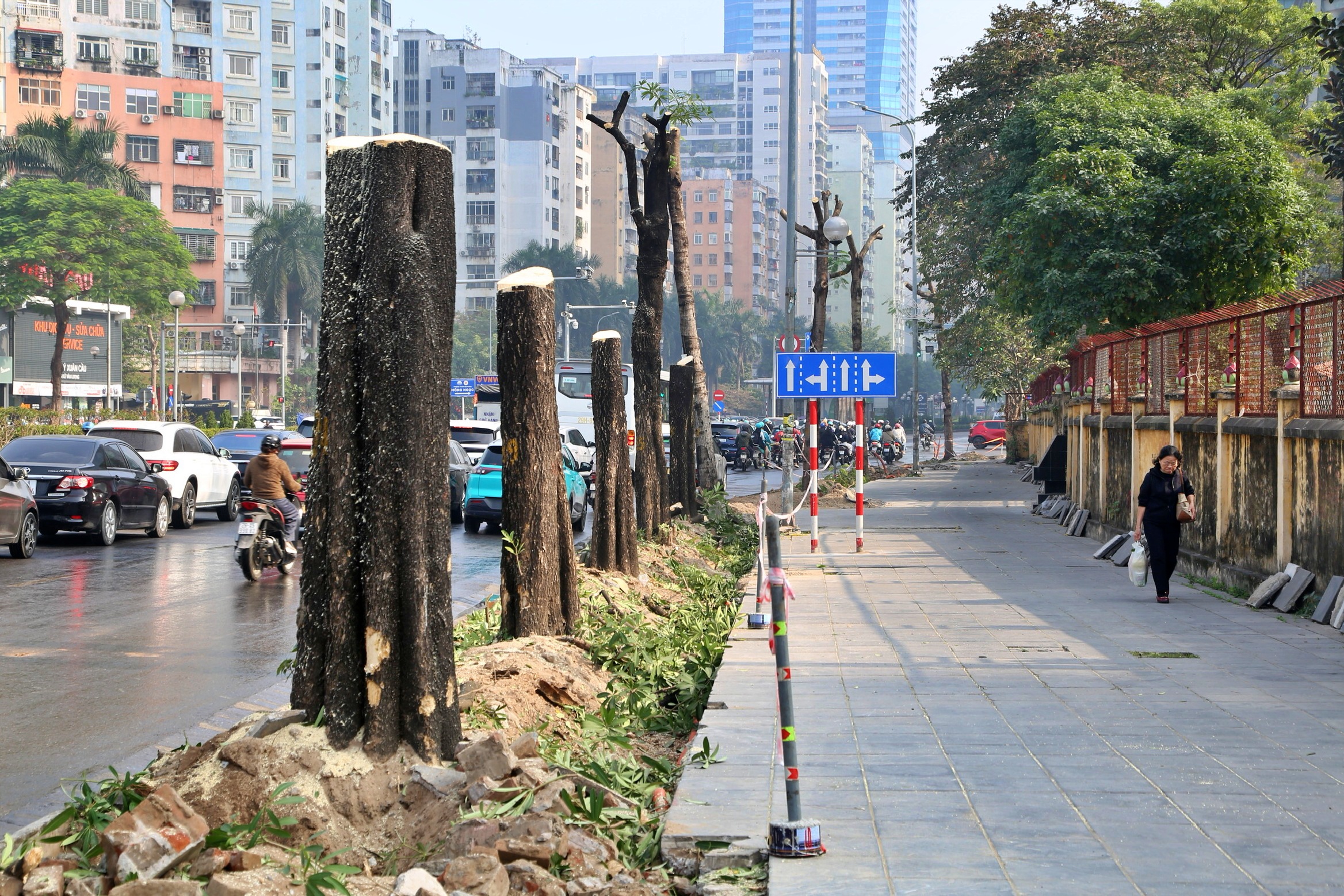 Hà Nội chặt hạ cây xanh, 'xén' vỉa hè để giảm ùn tắc - Ảnh 2.