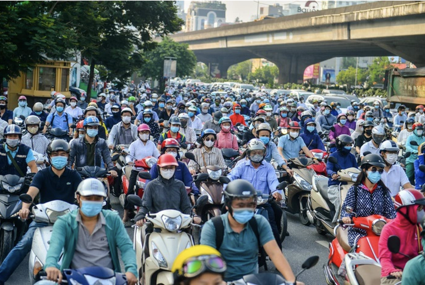 - Ảnh 3. - Ảnh 3.