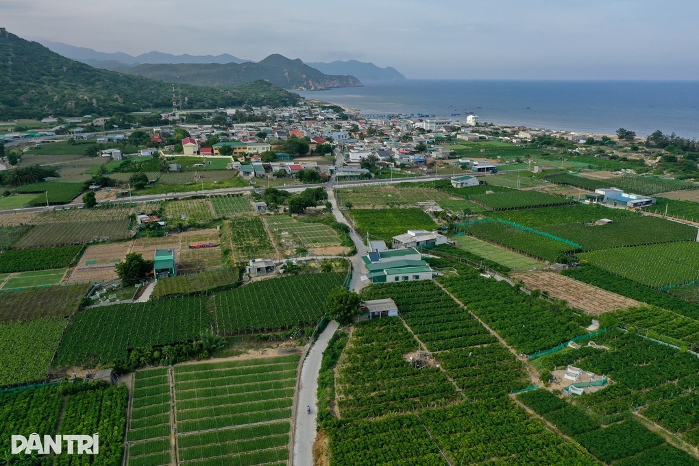 Hai dự án điện hạt nhân tại Khánh Hòa dự kiến vận hành giai đoạn 2030-2035 - 1