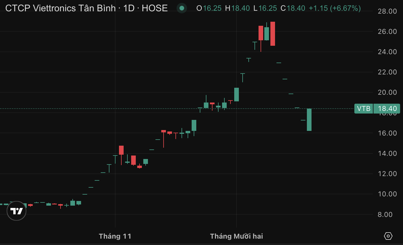 Viettronics Tân Bình - Ảnh 2.