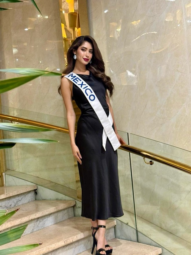 Hệ lụy từ vụ diễn viên Lâm Thái ăn trộm túi của Hoa hậu Mexico- Ảnh 1. Hệ lụy từ vụ diễn viên Lâm Thái ăn trộm túi của Hoa hậu Mexico- Ảnh 1.