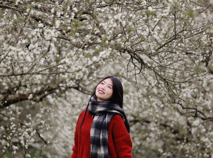 Du khách Phương Lii check in vườn mận tại cao nguyên Mộc Châu. Ảnh: FBNV