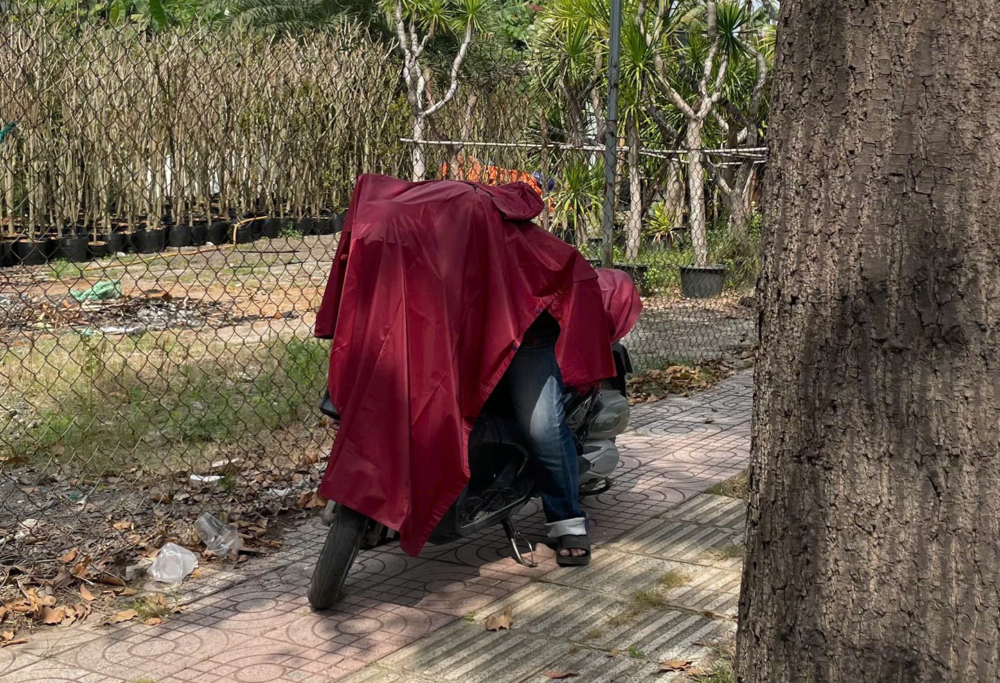 Thông tin nổi bật tại TPHCM ngày 9 - 12 về giải độc đắc 28 tỉ đồng và tai nạn đáng tiếc - Ảnh 1. Thông tin nổi bật tại TPHCM ngày 9 - 12 về giải độc đắc 28 tỉ đồng và tai nạn đáng tiếc - Ảnh 1.