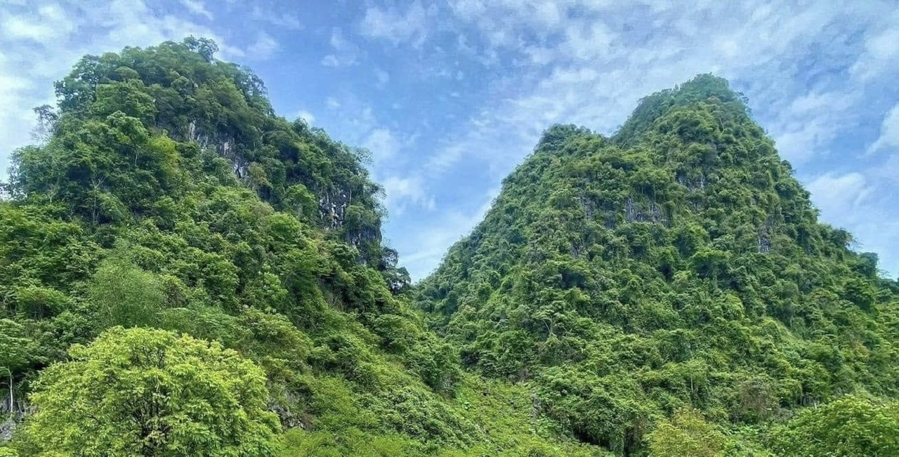 Hoàng Đình Kinh - thủ lĩnh Tày kiên cường- Ảnh 1.