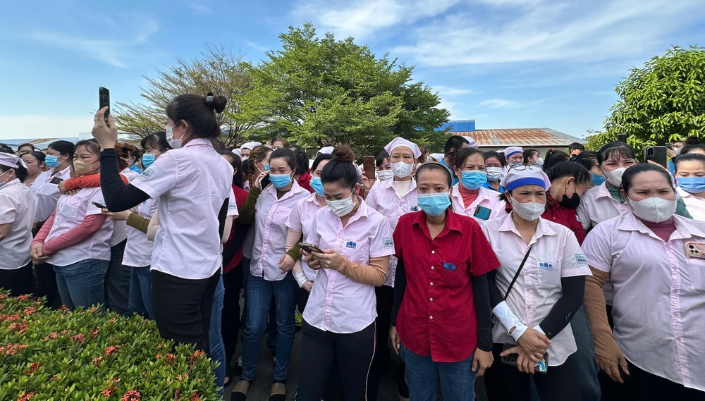 Hơn 2.700 công nhân của Panko Vina sẽ được hưởng lương tháng 13 khi công ty này ngừng hoạt động. Ảnh: LT z7377782075293_a975e48f3ca8b83677b4dd1a56b8a0f5.jpg