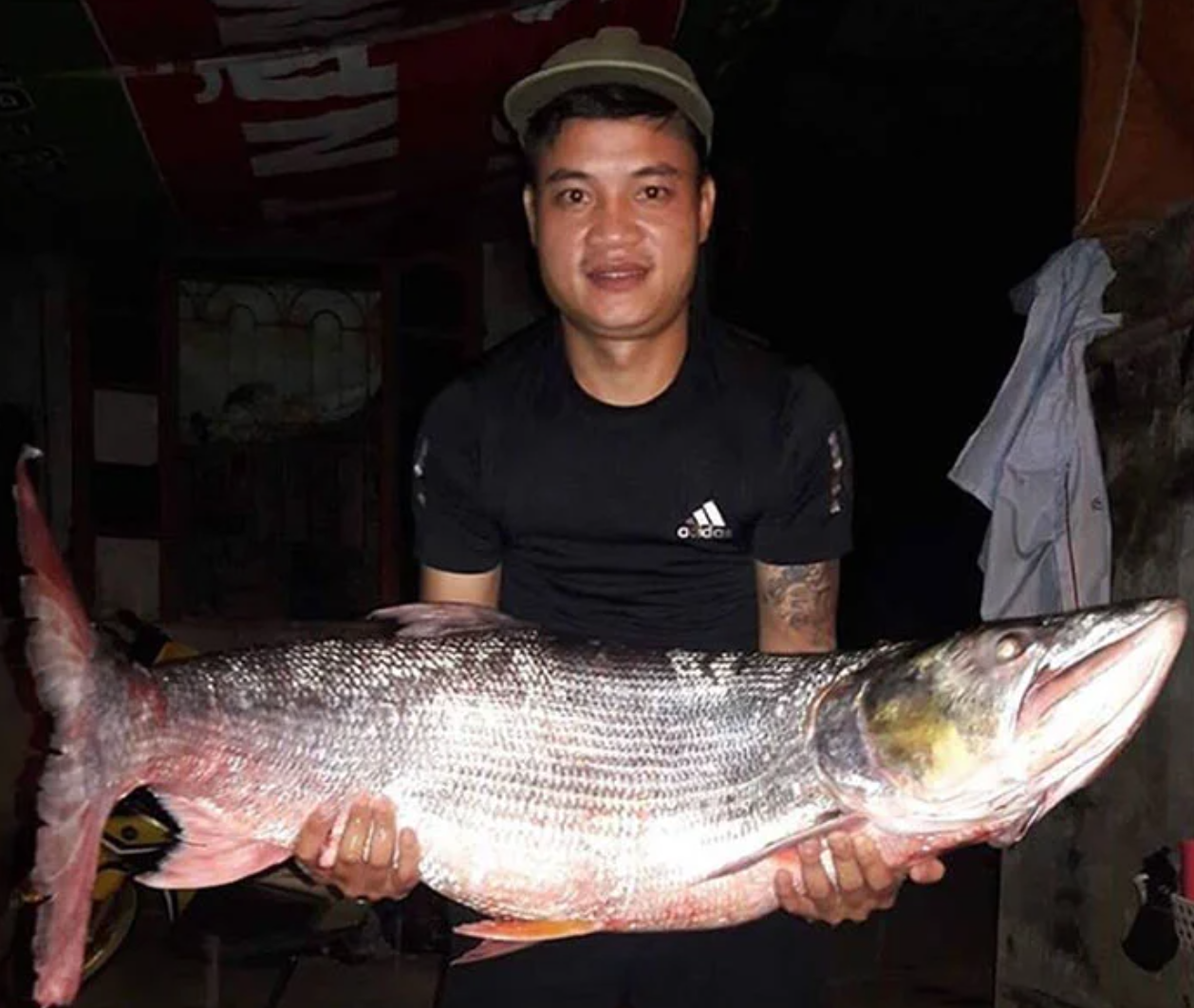 Hung ton uy luc duoc vi nhu ca map song