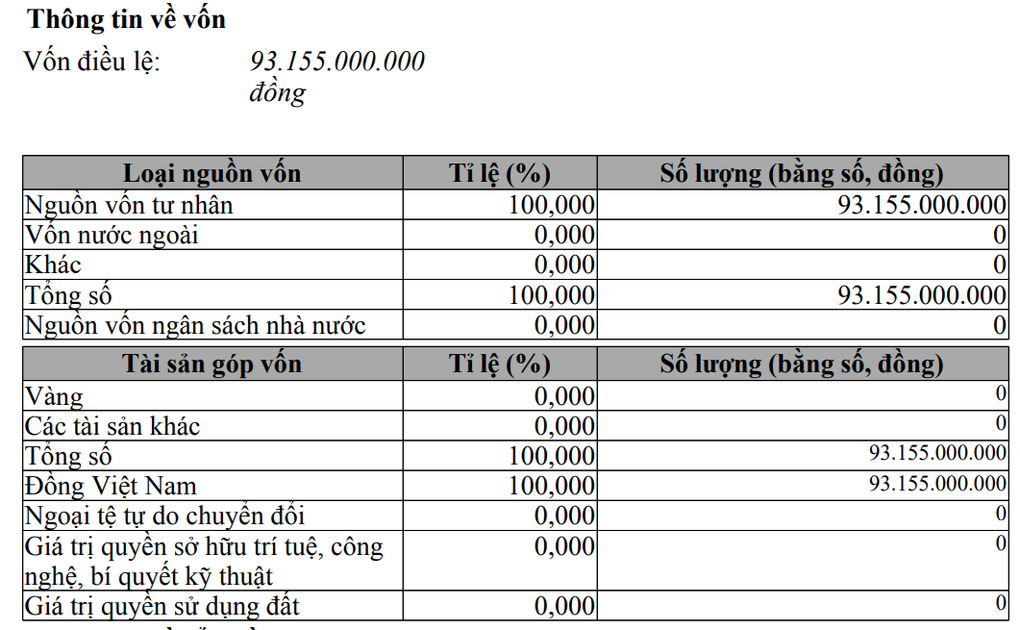 Hyra Holdings liên quan Shark Hưng: Liên tục đổi tên, tăng vốn thần tốc - 2