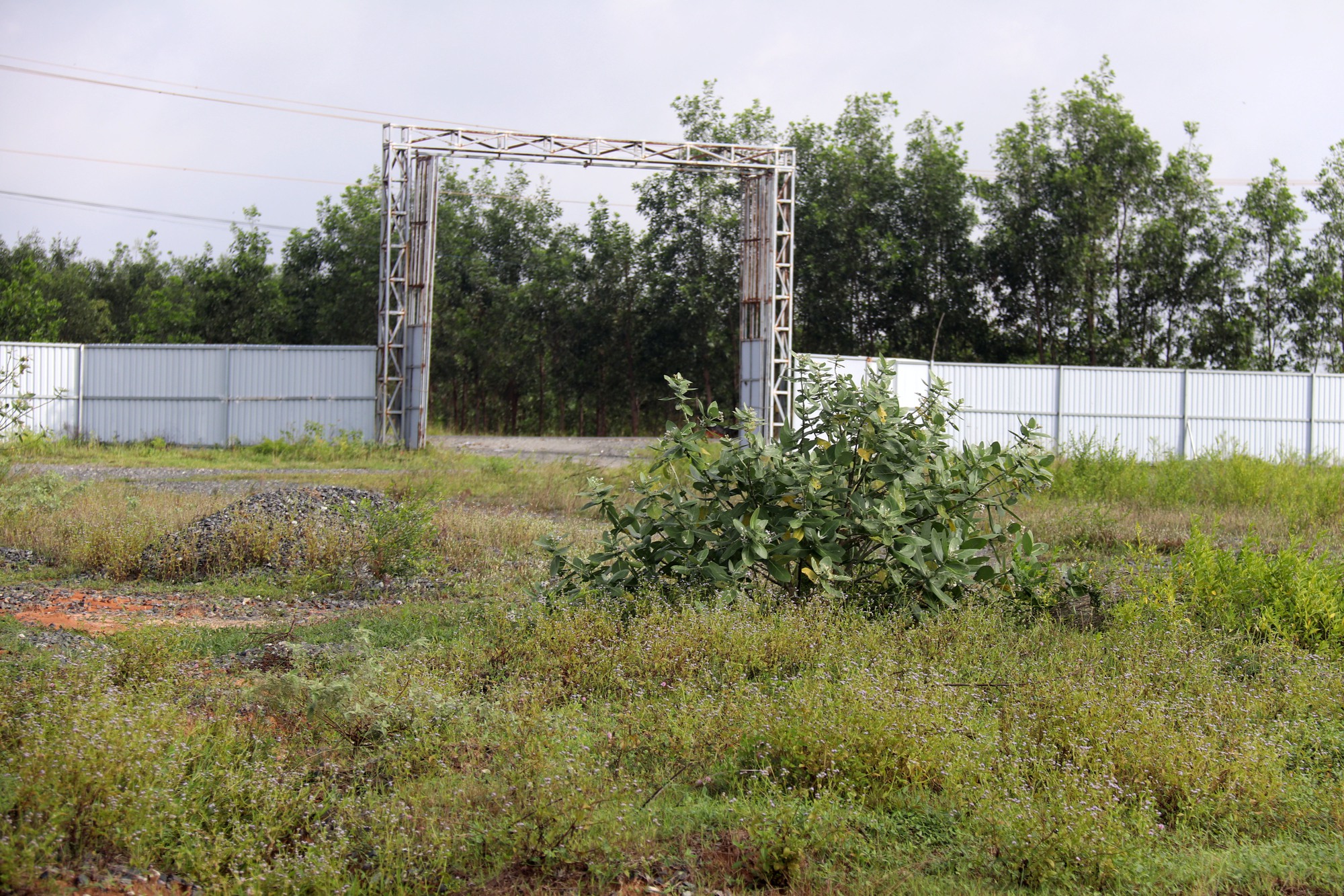 Tiến độ giải phóng mặt bằng KCN Sơn Mỹ và những vấn đề cần giải quyết - Ảnh 1. Tiến độ giải phóng mặt bằng KCN Sơn Mỹ và những vấn đề cần giải quyết - Ảnh 1.