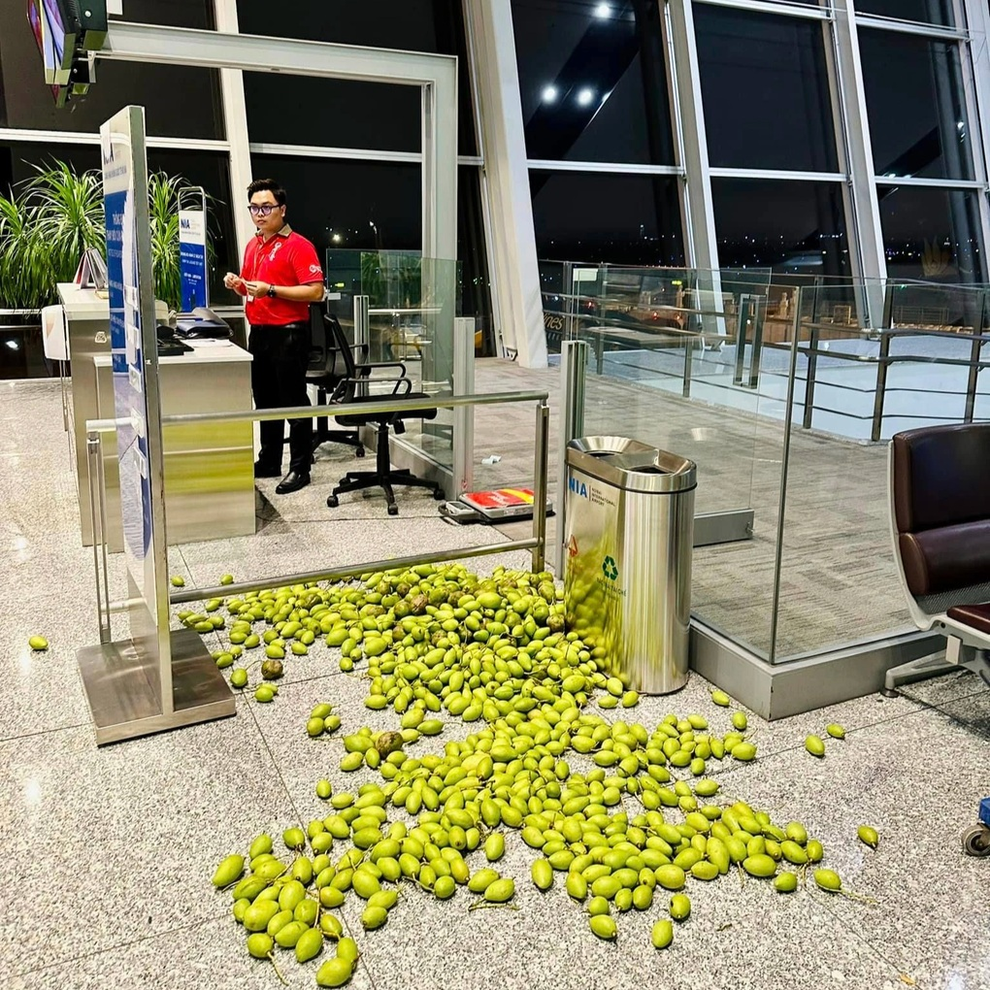 Khách Việt bỏ ở sân bay hàng chục cân xoài cóc và chuyện dở khóc dở cười - 1