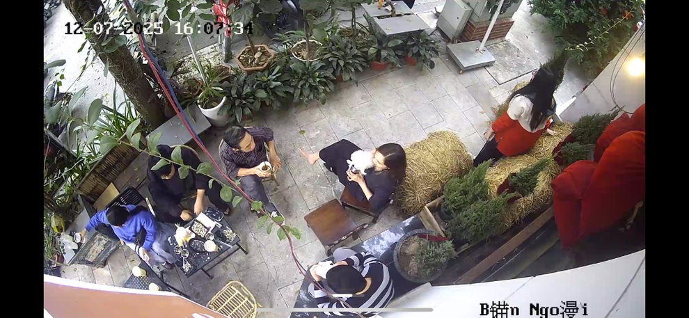 Khách lấy cốc của người cho thú cưng uống tại quán cà phê ở Hà Nội - 1