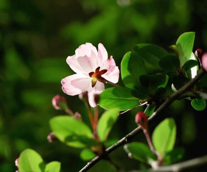 Khi bị người khác hãm hại, đây mới là cách đáp trả tinh tế và khôn ngoan nhất 1 Khi bị người khác hãm hại, đây mới là cách đáp trả tinh tế và khôn ngoan nhất - 1