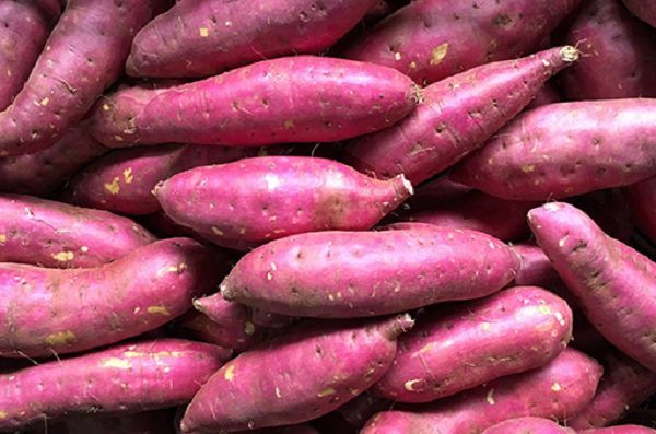 sức khỏe - Ảnh 1.