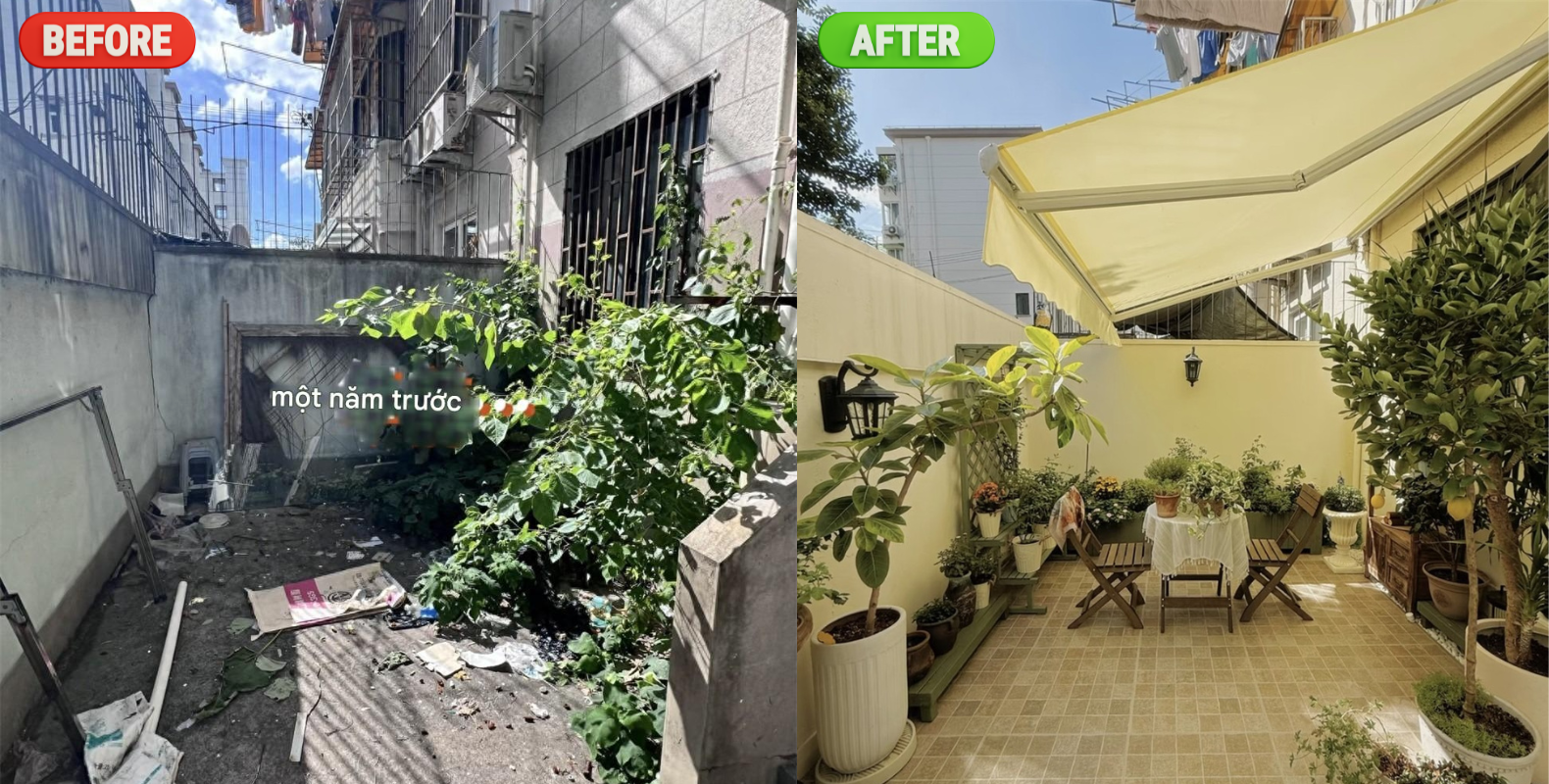 Không ai thèm ngó tới nhà tầng 1 cũ nát, người đàn ông liều xuống tiền rồi lột xác như phim điện ảnh- Ảnh 1.