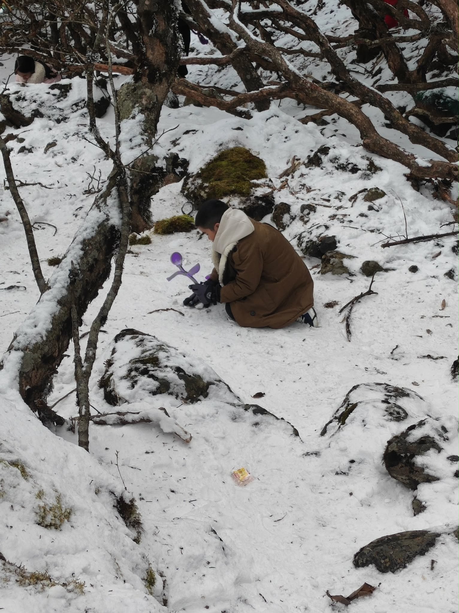 Khách Việt kể chuyện đi ngắm tuyết trên núi cao hơn 4000m ở Trung Quốc, nhận xét: 