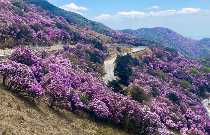 Khách Việt kể chuyện đi ngắm tuyết trên núi cao hơn 4000m ở Trung Quốc, nhận xét: 