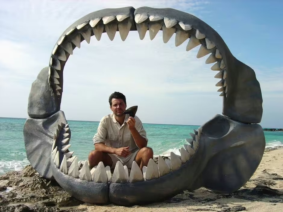 Tiếng động lạ từ đáy đại dương: Không phải quái vật biển, sự thật còn đáng sợ hơn- Ảnh 1.