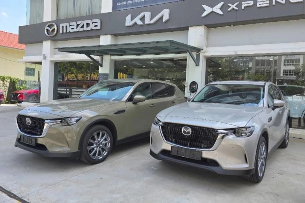 Kia bỏ mô hình một đại lý đa thương hiệu tại Malaysia, Việt Nam thì sao? - 1