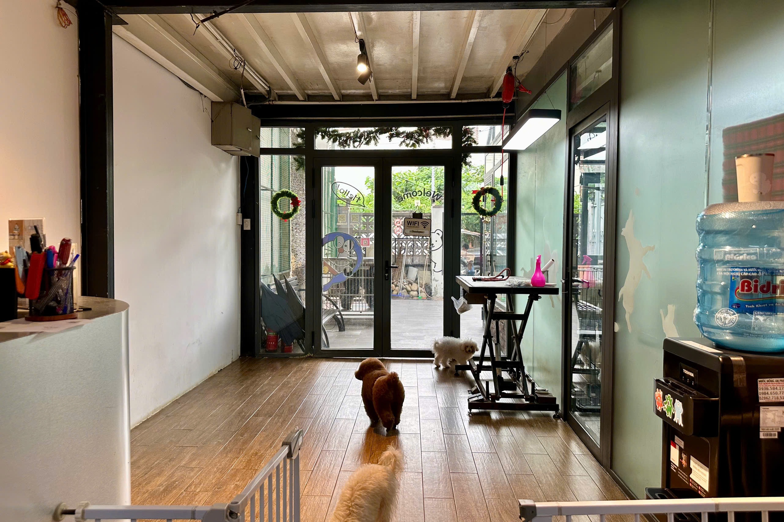 Làm đẹp thú cưng ở TP.HCM: Kiên nhẫn và cả trắc ẩn với khách hàng 4 chân- Ảnh 1. Làm đẹp thú cưng ở TP.HCM: Kiên nhẫn và cả trắc ẩn với khách hàng 4 chân- Ảnh 1.